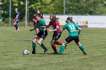 Bild 385 - F SG NieBar - IF Stjernen Flensborg : Ergebnis: 2:0